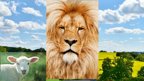 THE MYSTERY OF JESUS AS A LION AND A LAMB
